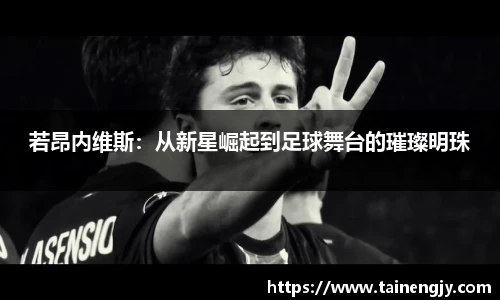 若昂内维斯：从新星崛起到足球舞台的璀璨明珠